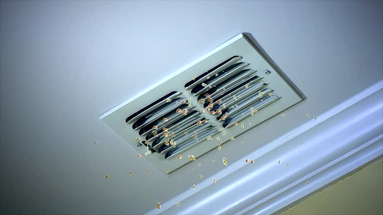 Best Professional Duct Cleaning Services  in Marion, NC