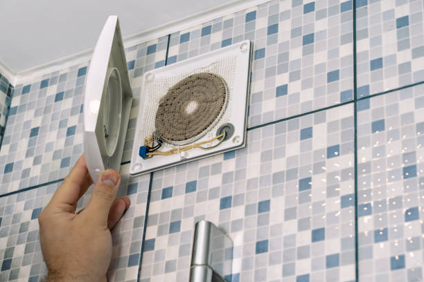 Best Air Duct Mold Removal  in Marion, NC