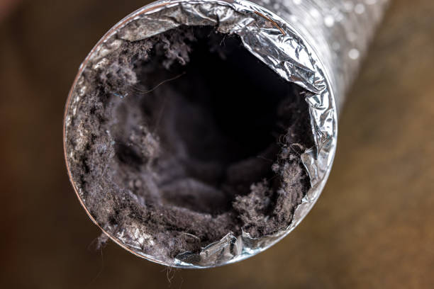 Best Ventilation Cleaning Services  in Marion, NC